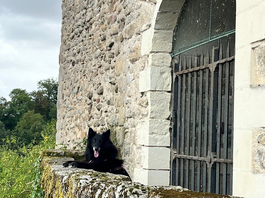 Chateau de Clisson-Clisson必去景点