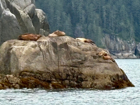 Seacor Tours-苏厄德必去景点