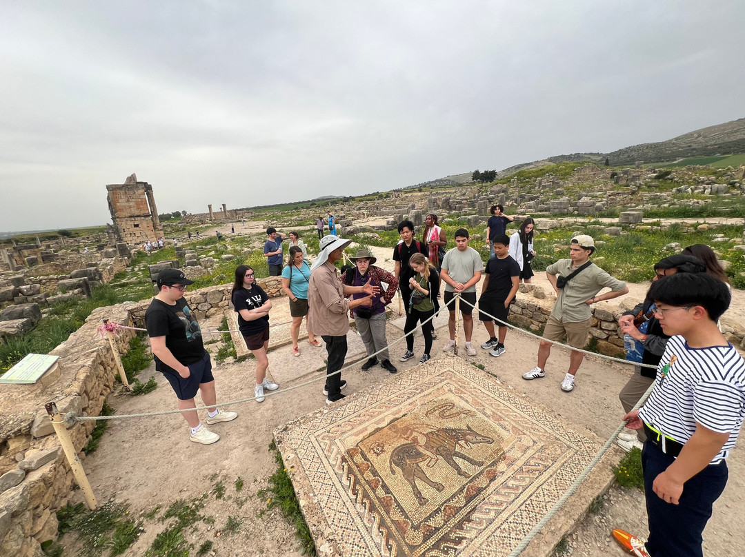 Morocco Excursion Tours-马拉喀什必去景点