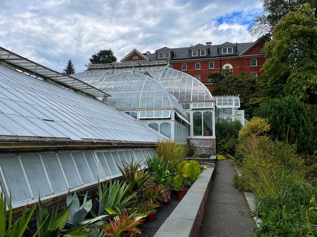 史密斯学院热带植物园-北安普敦必去景点