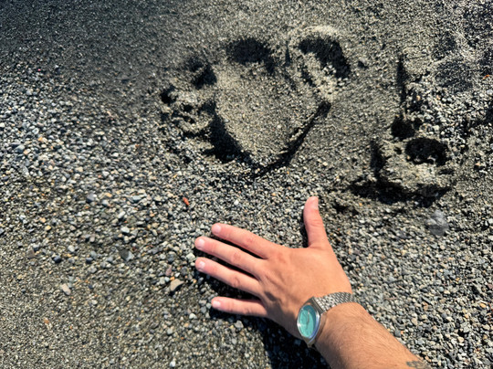 The Chilko Experience Wilderness Resort主图