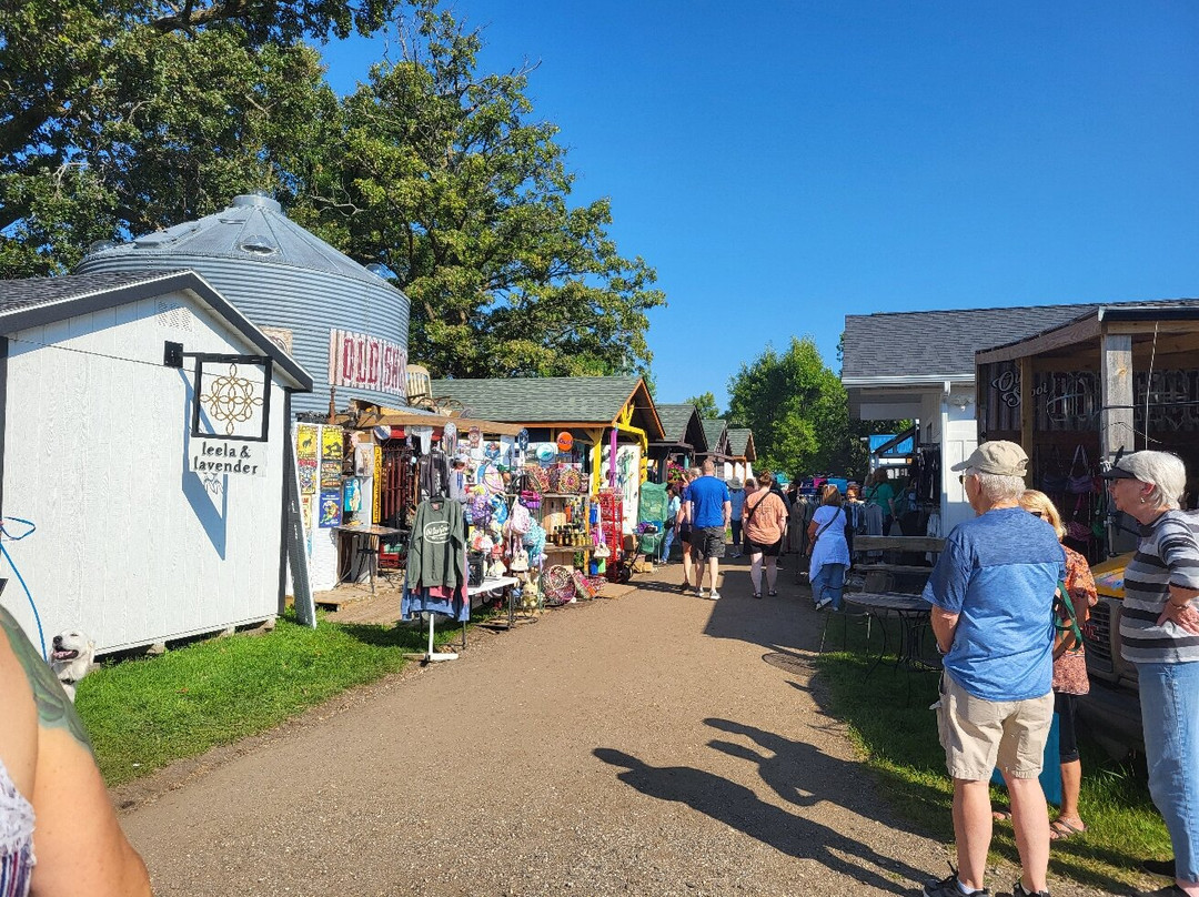 Shady Hollow Flea Market-Detroit Lakes必去景点