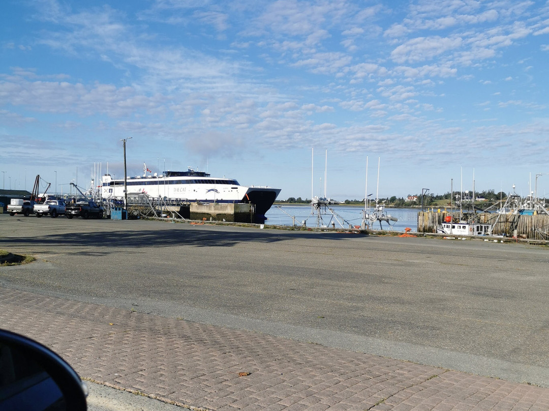 The CAT - Bay Ferries Limited-Yarmouth必去景点