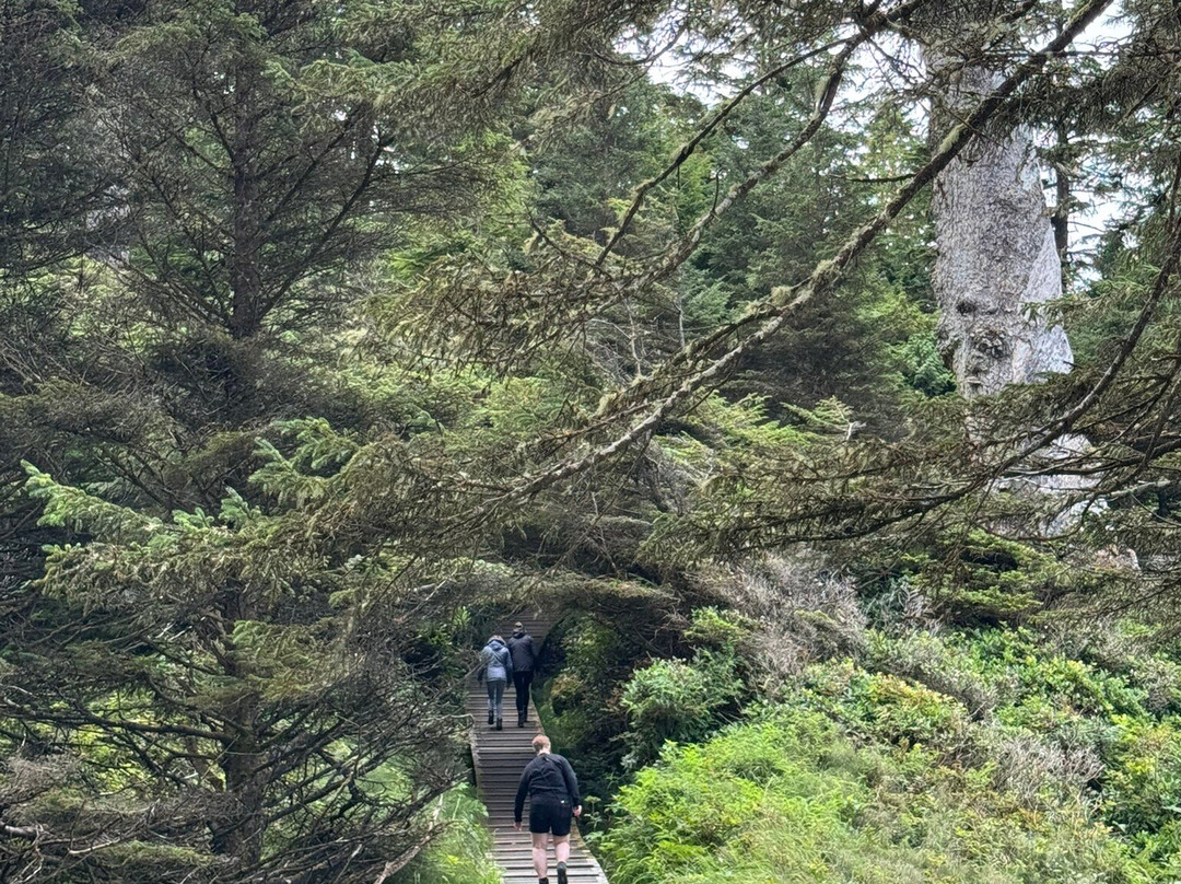 Kwisitis Visitor Centre-尤克卢利特必去景点