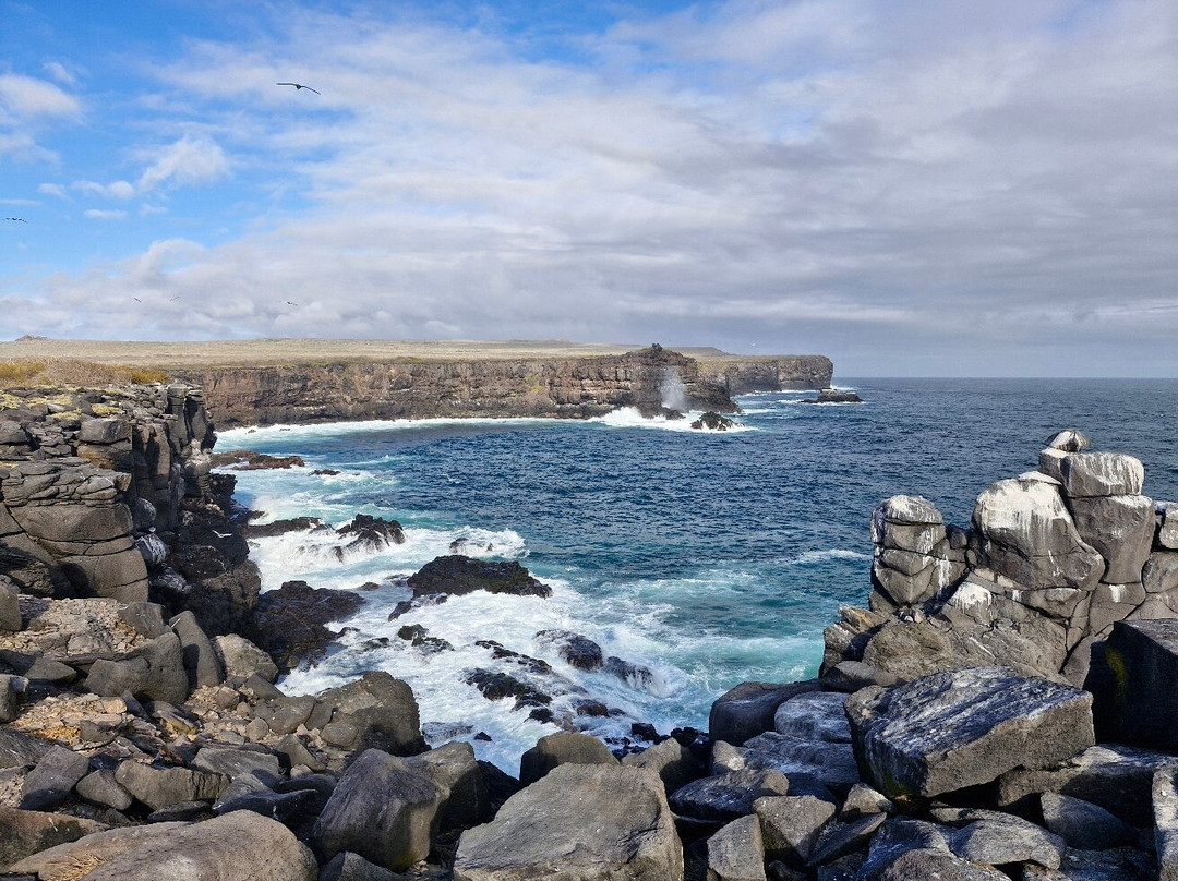 Punta Suarez-Espanola必去景点