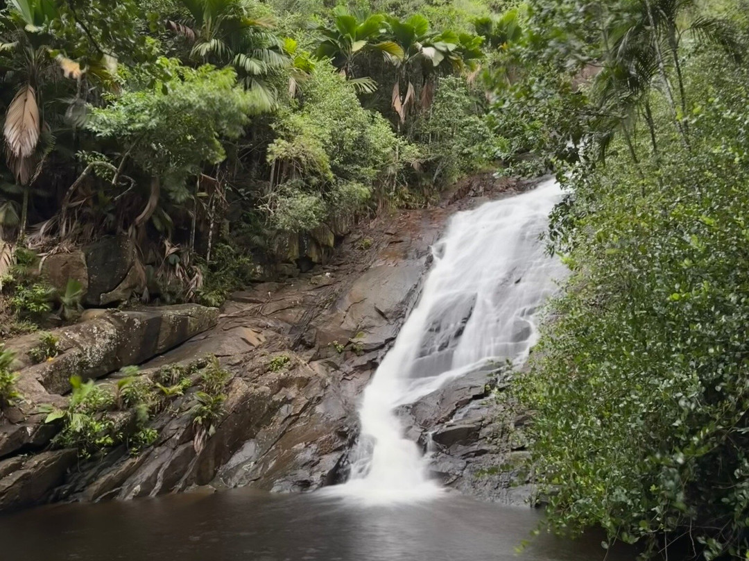 Sauzier Waterfall-Port Glaud必去景点