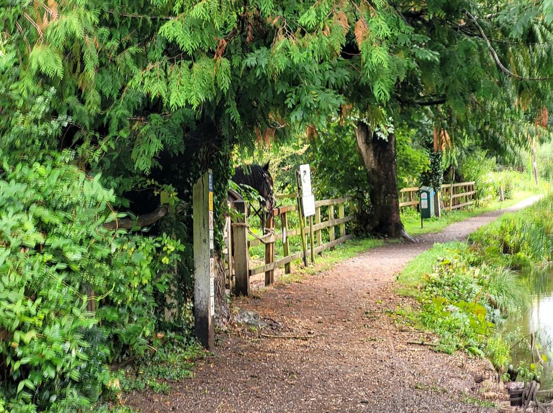 Kennet Horse Boat Company-Kintbury必去景点