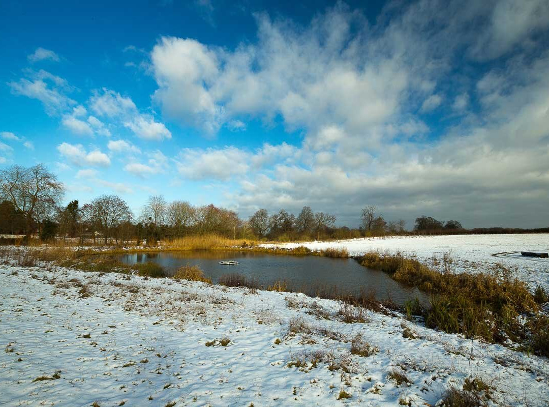 Clandon Wood-East Clandon必去景点