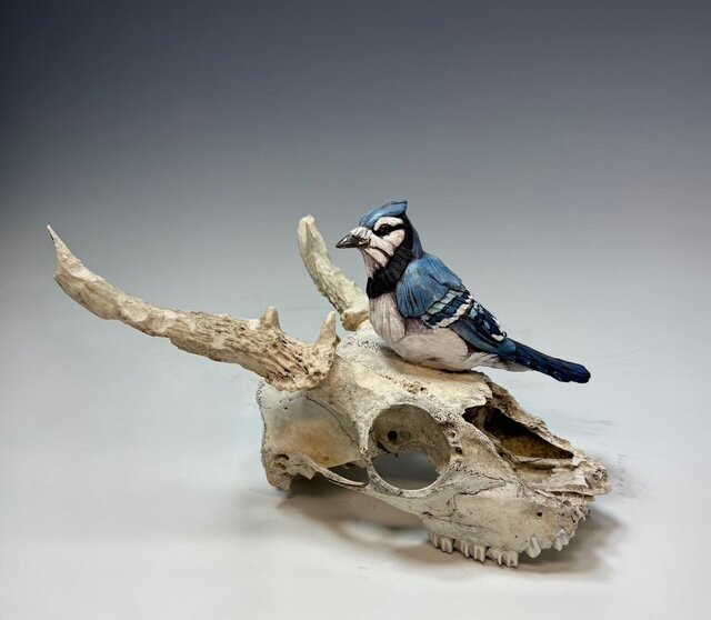 Higher Art Gallery-特拉弗斯城必去景点