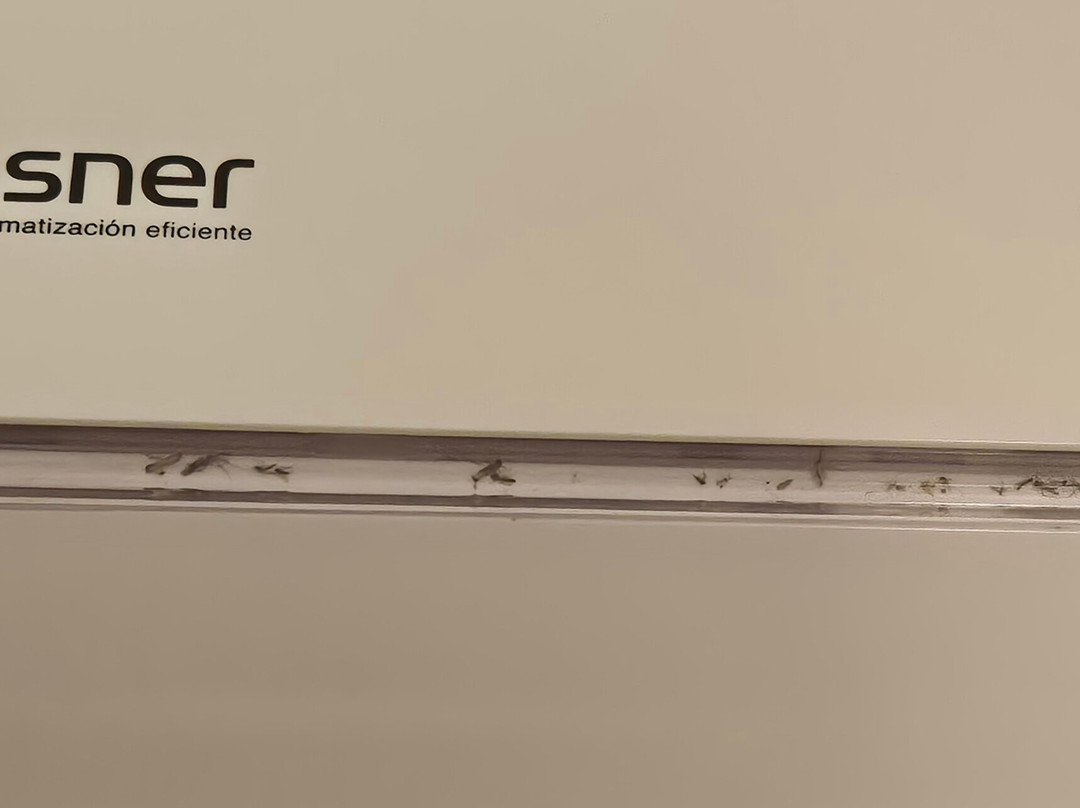 Hotel Clipper & Villas主图