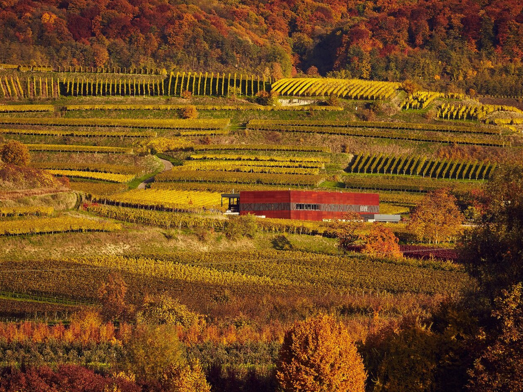 Weingut Abril-Vogtsburg im Kaiserstuhl必去景点