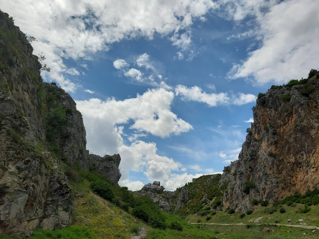 Lihnid Tours-Pogradec必去景点