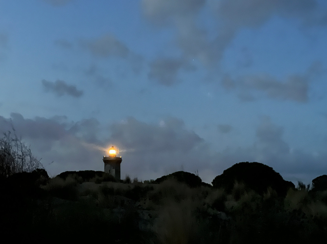 Phare de l'Espiguette-勒格罗迪鲁瓦必去景点