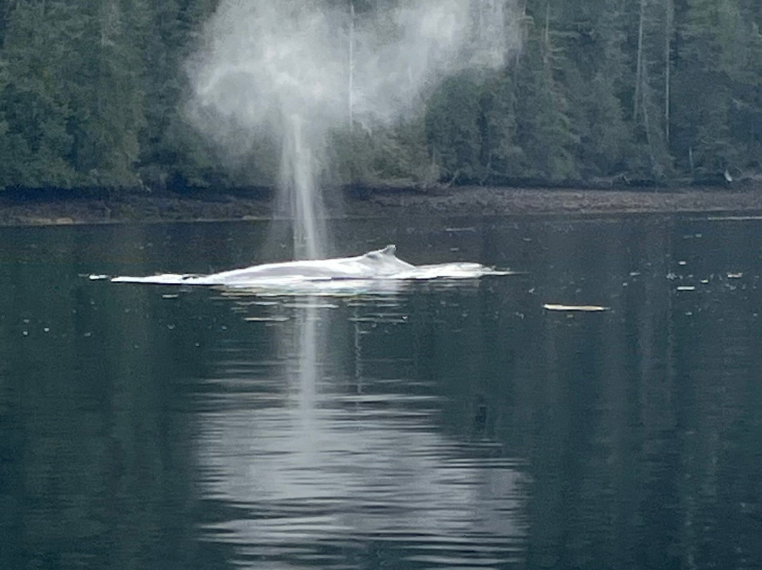 Moresby Explorers-Sandspit必去景点