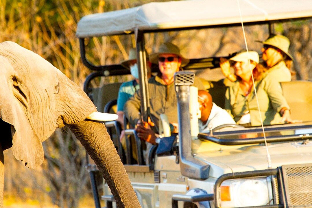 Spoor Tracker Adventures