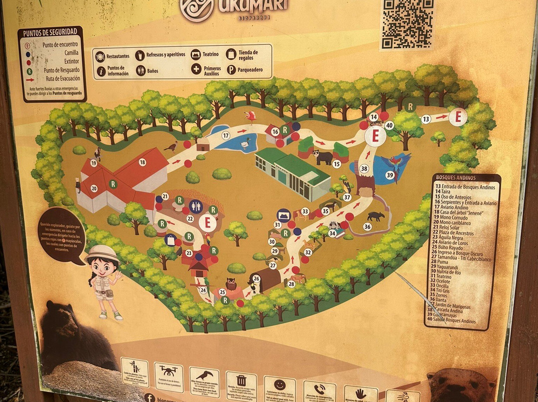 Magic Tours del Café-亚美尼亚必去景点