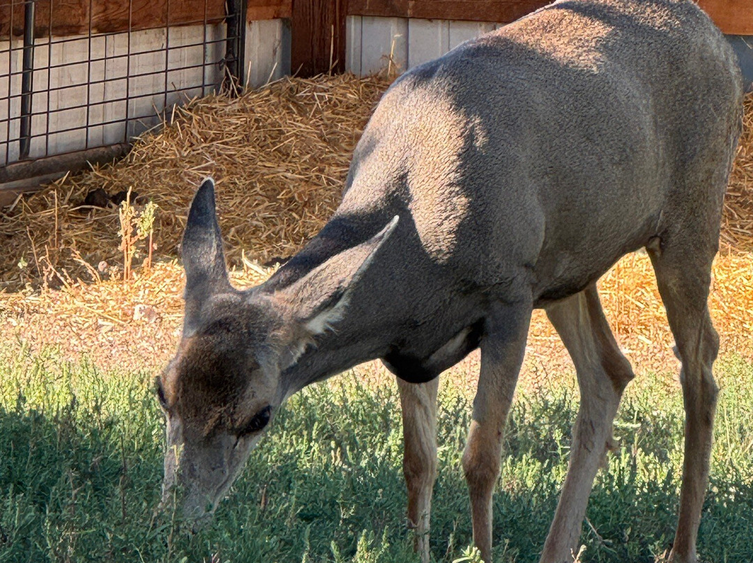 Wildlife West Nature Park-Edgewood必去景点