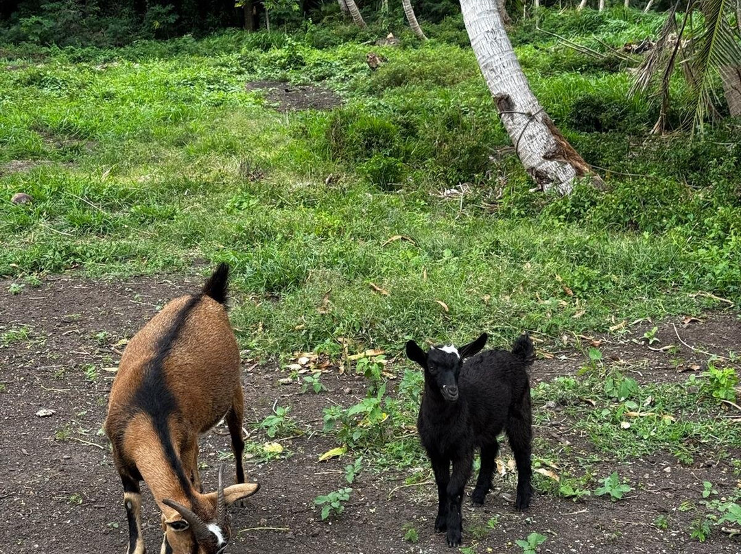 Oarsman's Bay Lodge主图