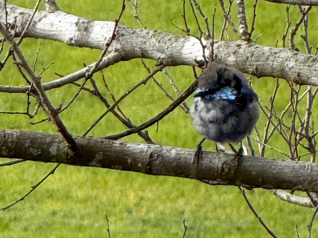 湾畔海滩酒店主图