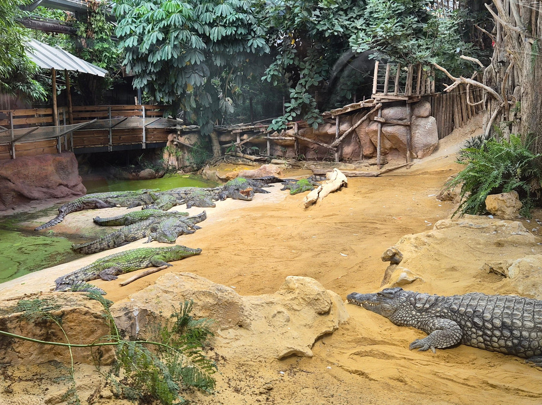 La Ferme Aux Crocodiles-Pierrelatte必去景点