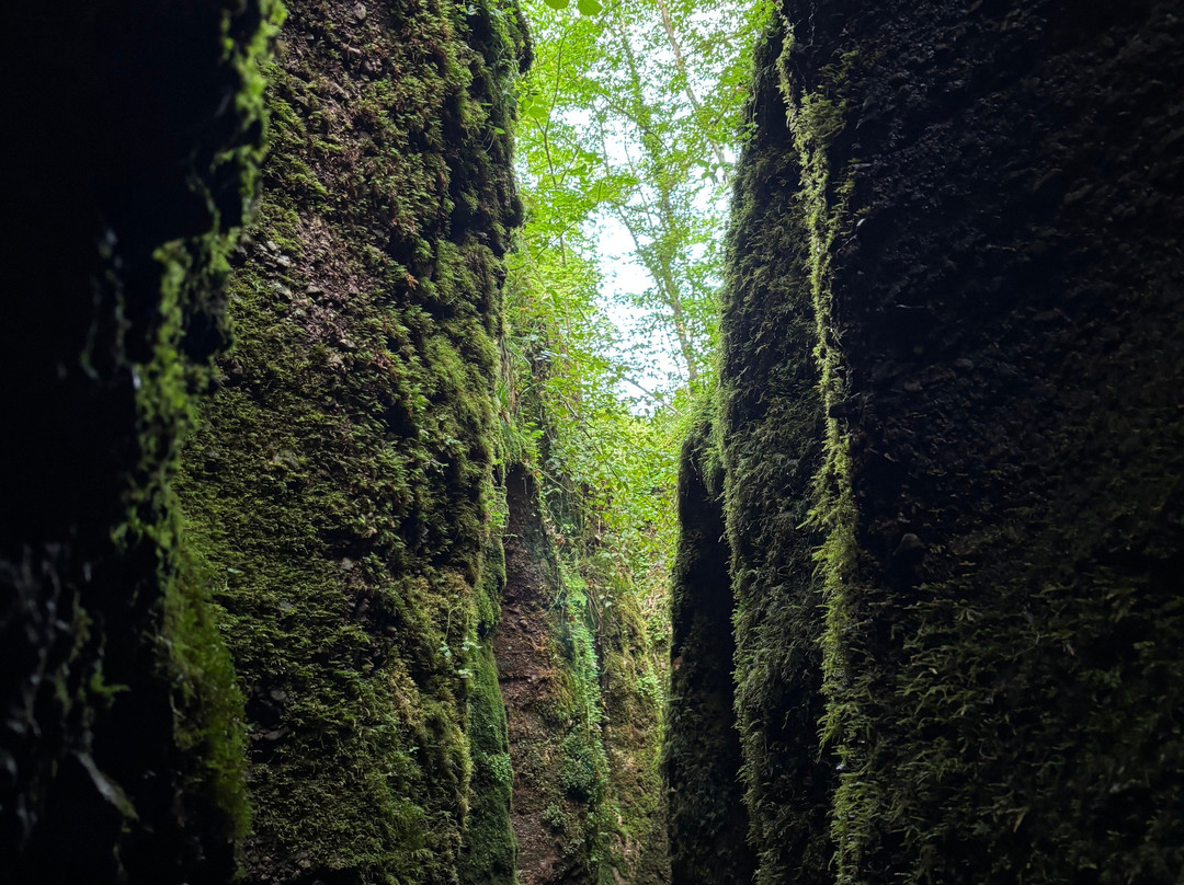 Drachenschlucht / Landgrafenschlucht-艾森纳赫必去景点