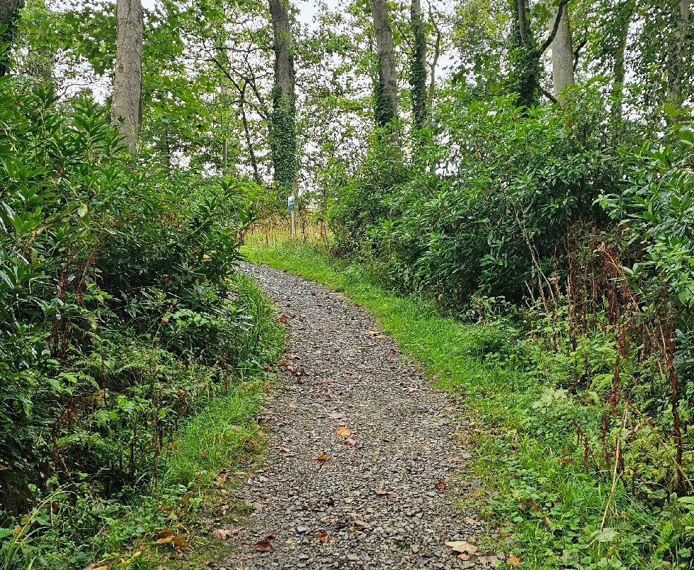 Tapeley Park Gardens-Instow必去景点