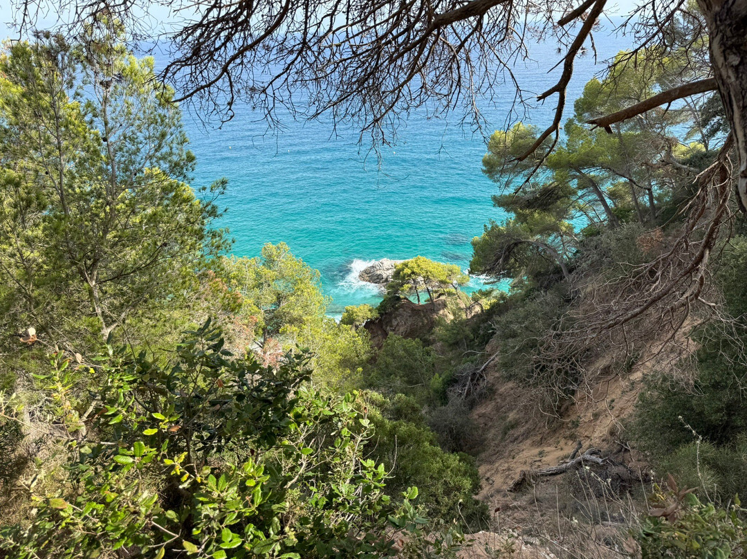 Playa Cala Sa Boadella-犹兰特德玛必去景点