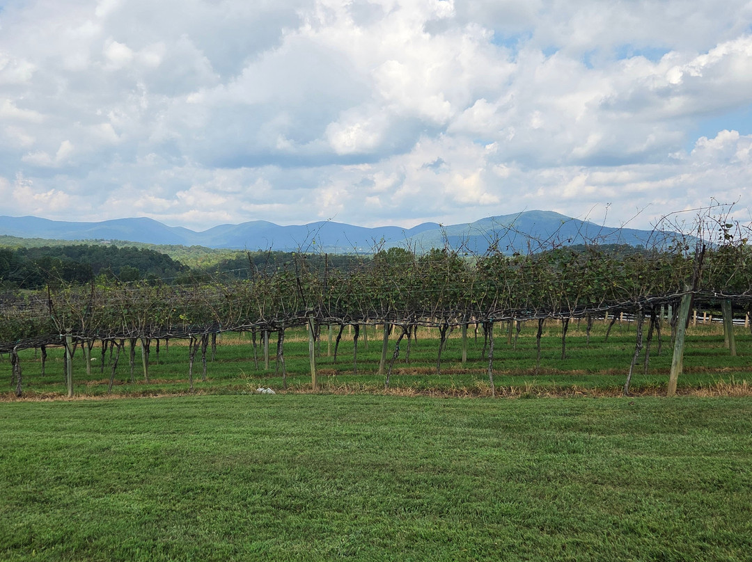 Kaya Vineyard & Winery-达洛尼加必去景点