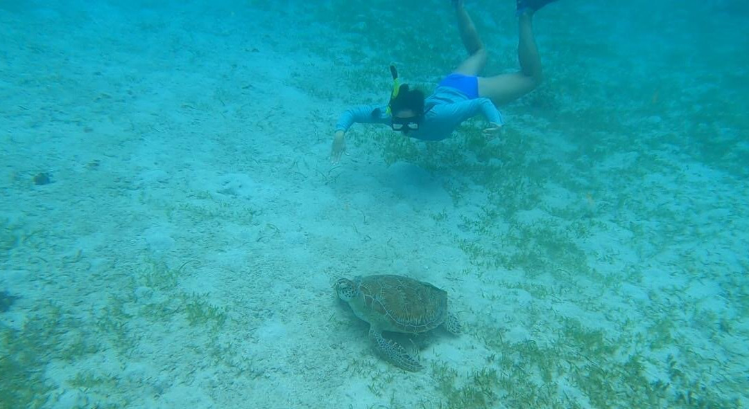 Day Trips BVI-托土拉必去景点