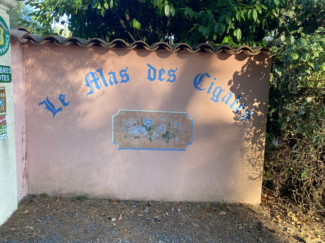 Le Mas des Cigales主图