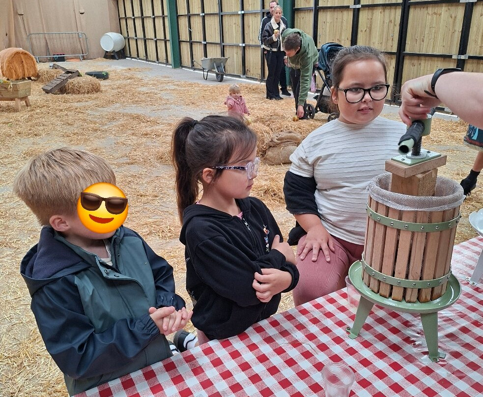 Cockfields Farm Park-Ashton-under-Lyne必去景点