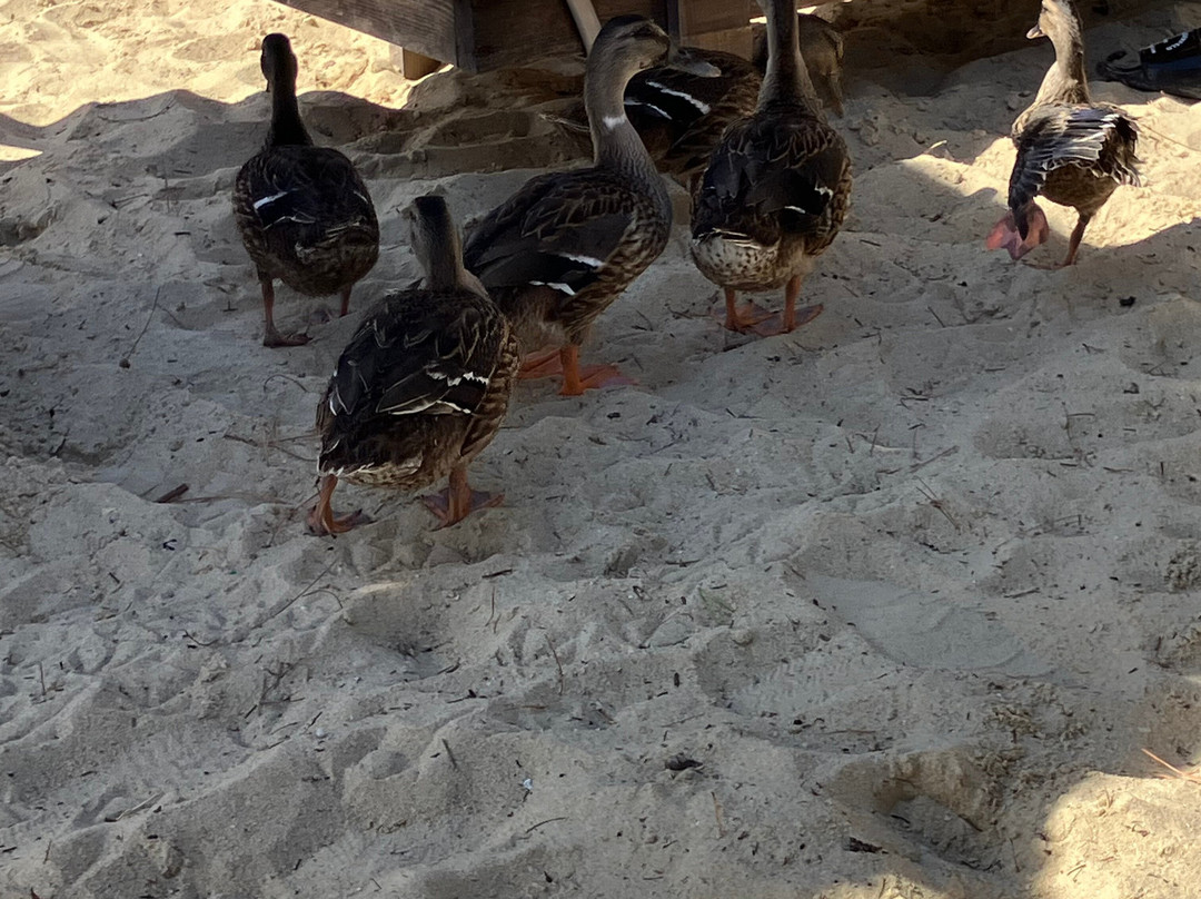 Cape Kanapitsa Hotel & Suites主图