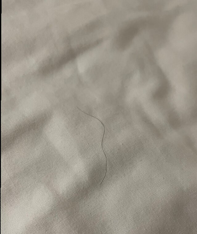 Eastland Suites Hotel & Conference Center - Trademark Collection By Wyndham主图