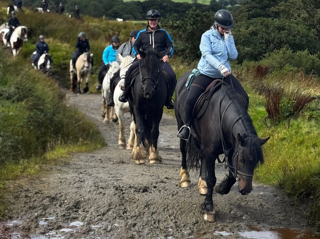 Bespoke Equestrian Ireland-都柏林必去景点