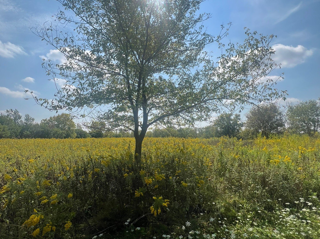 Buffalo Creek Forest  Preserve-Long Grove必去景点