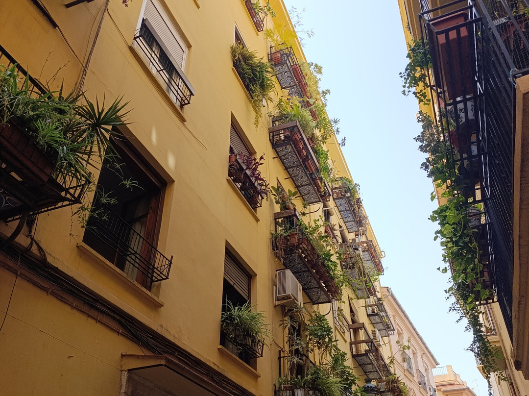 MO'bike-巴伦西亚必去景点