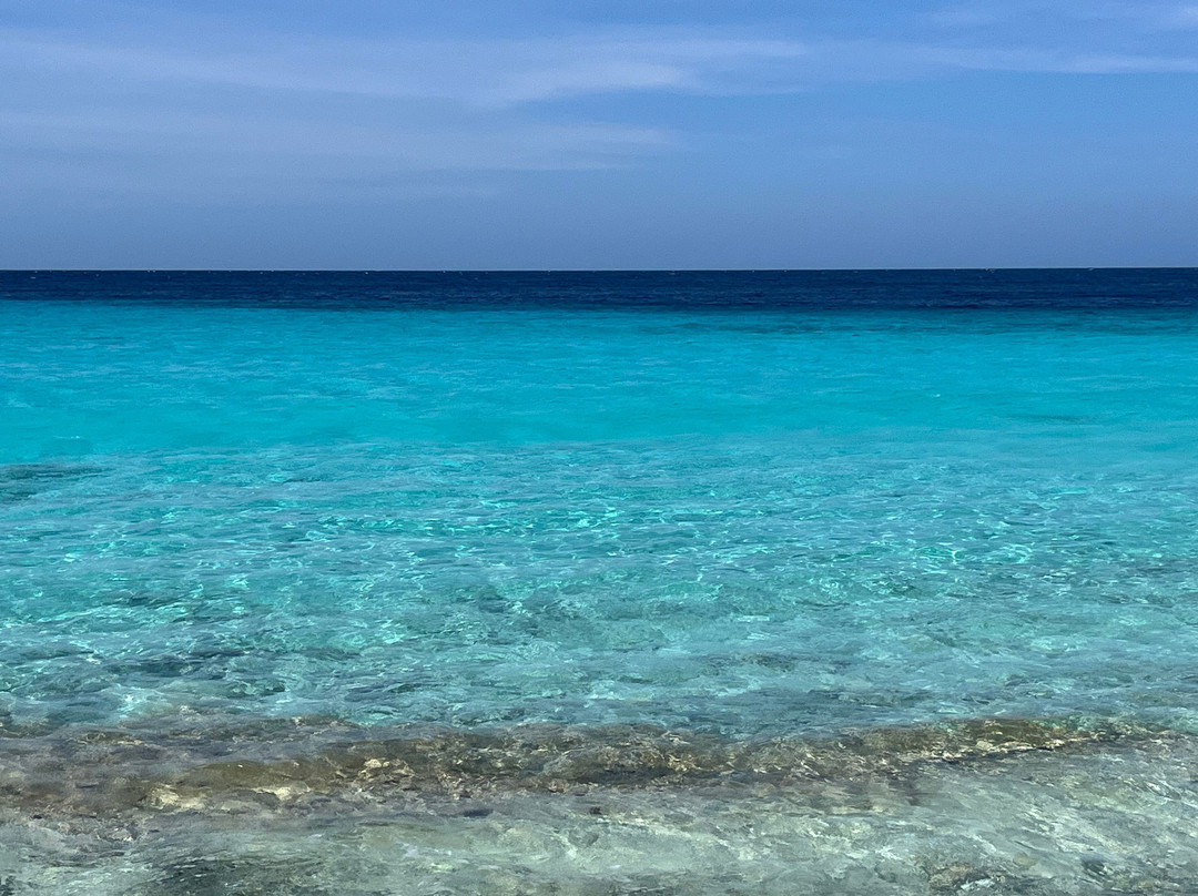 Sensi Spa-威廉斯塔德必去景点