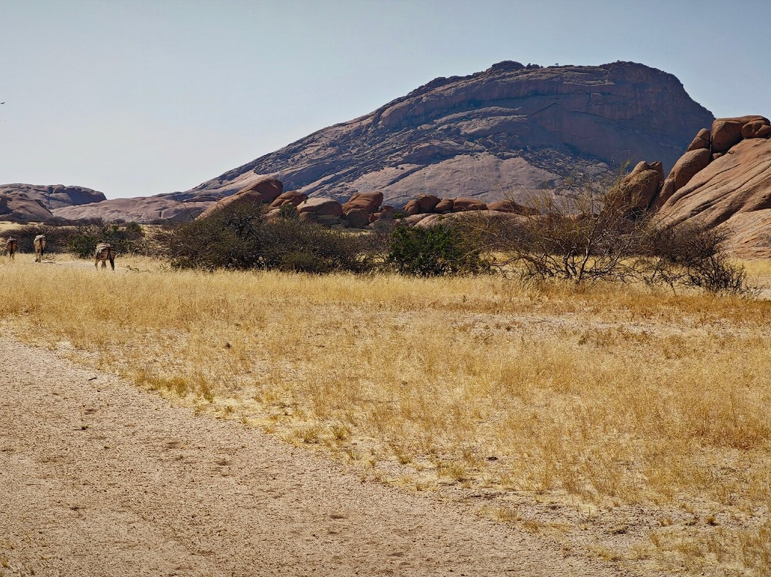 Kristall Galerie-斯瓦科普蒙德必去景点