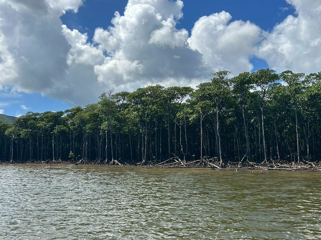 Nakama-river Protected Region-竹富町西表岛必去景点
