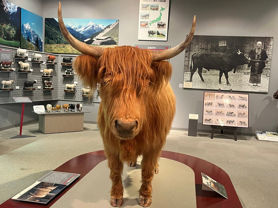The Cattle Museum-奥州市必去景点