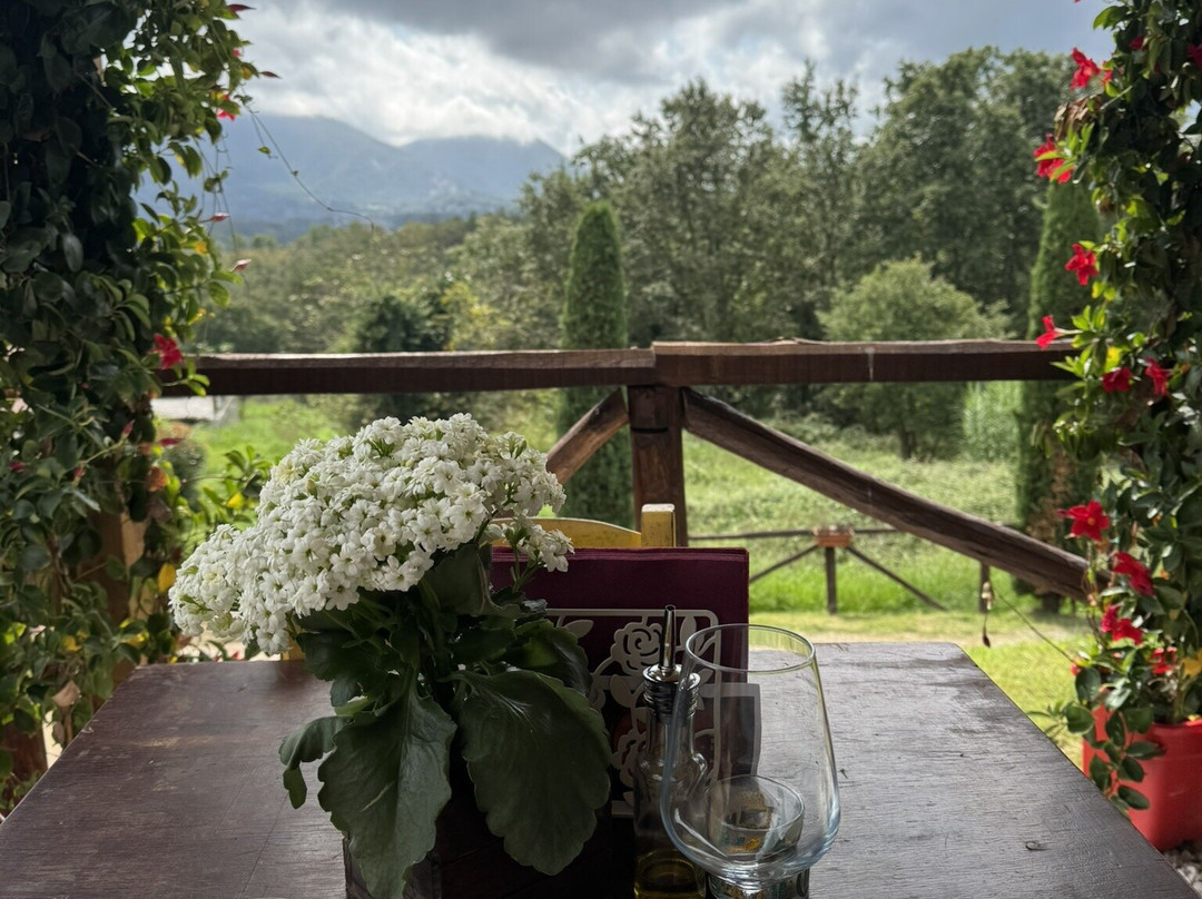 Fattoria Al Dotto-卢卡必去景点