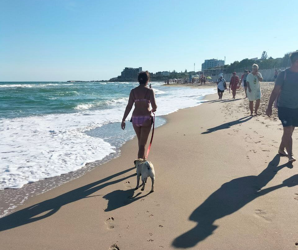 Wellotel Chernomorsk主图