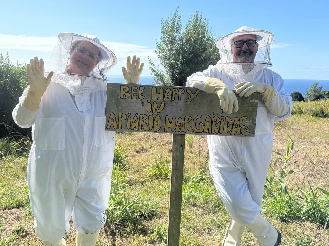 Apiário Margaridas-Fenais da Luz必去景点