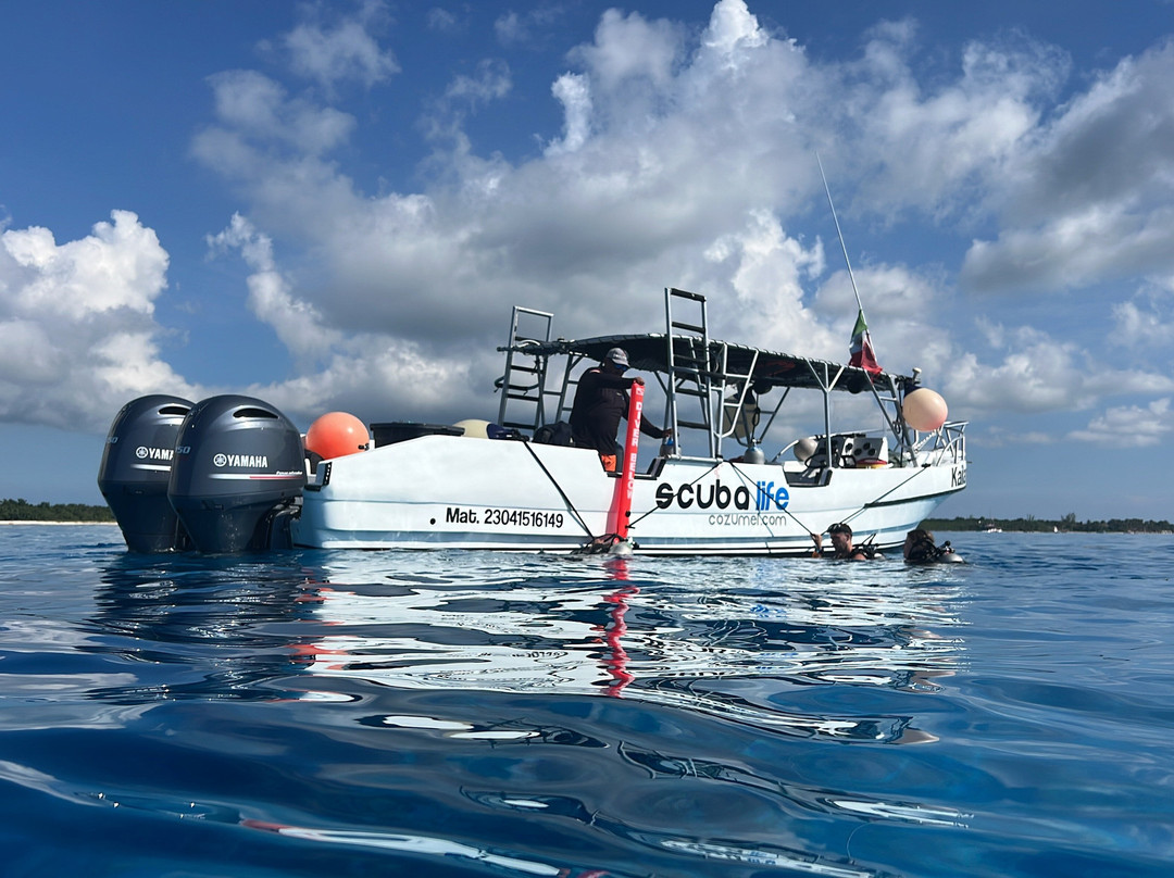 Scuba Life Cozumel-San Miguel de Cozumel必去景点
