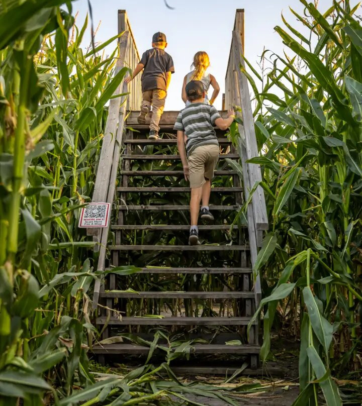 Kraay Family Farm-拉孔布必去景点