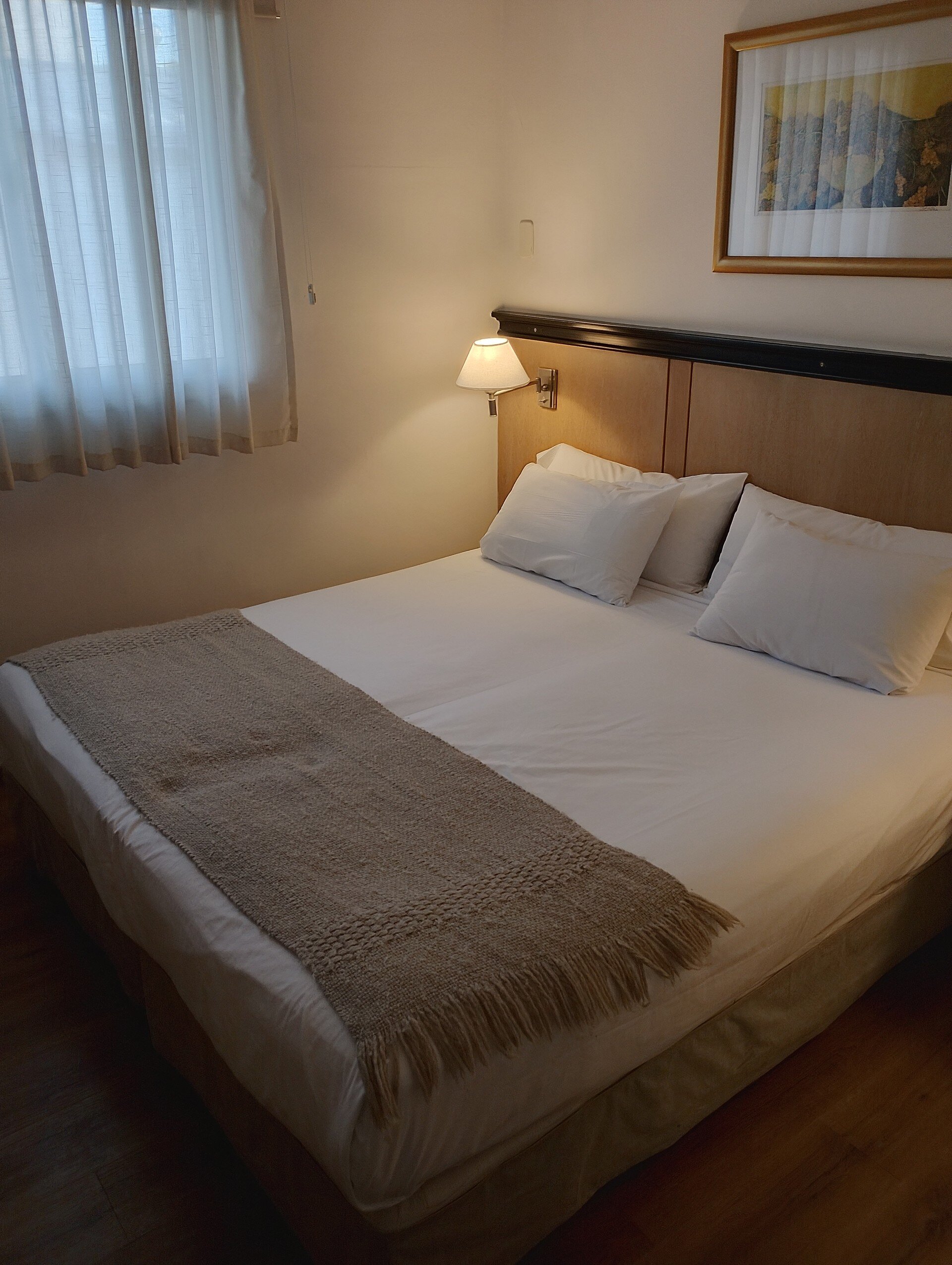 Argentino Hotel-客卧