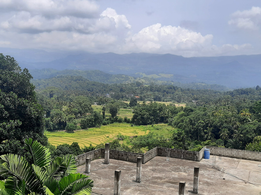 Lanka Travel Bee-尼甘布必去景点