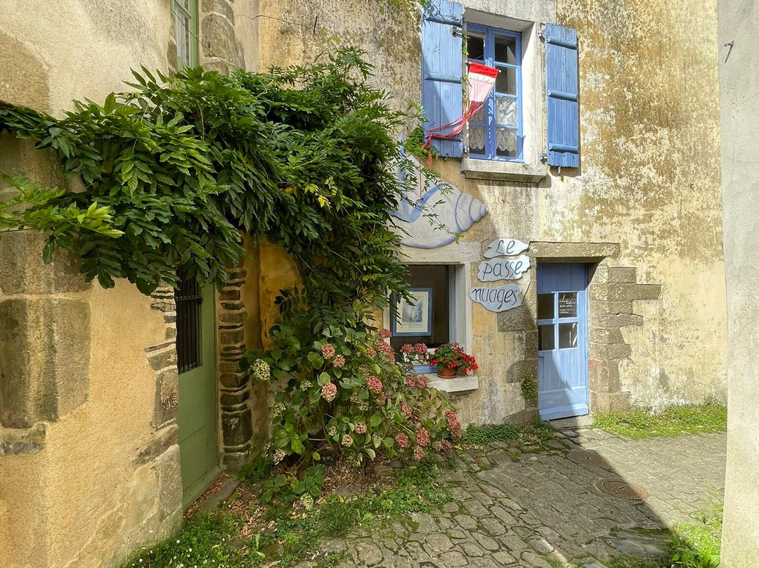 Château de Rochefort-en-Terre-莲蓬头必去景点