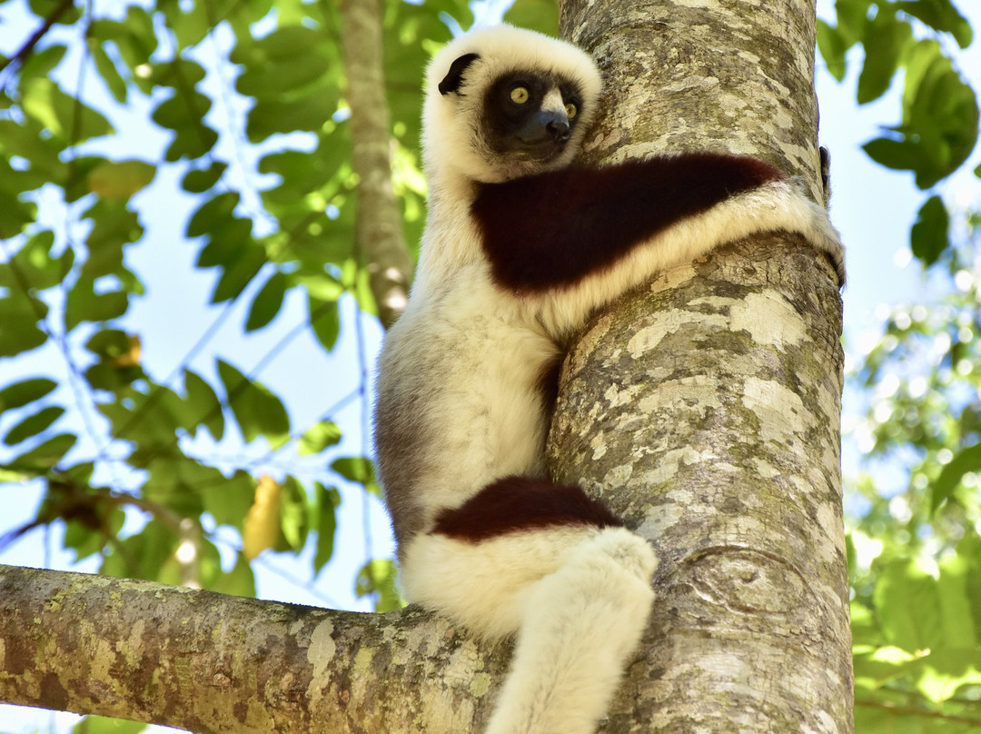 Lemuria Land-诺西贝必去景点