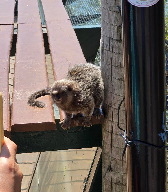 Mirante do Barreiro-伊利亚贝拉必去景点